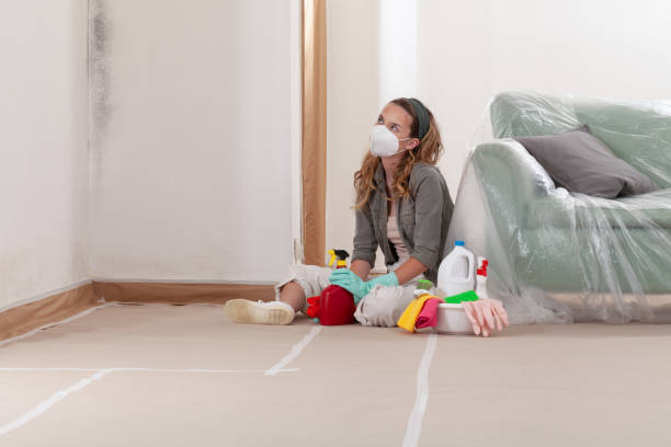 Reliable Mold Removal contractor in Virginia Beach, VA by WQB Mold Removal
